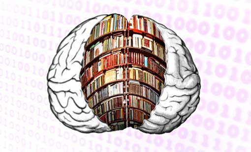 شذرات من دور المسلمين في تكوين الفكر العلمي الأوروبي